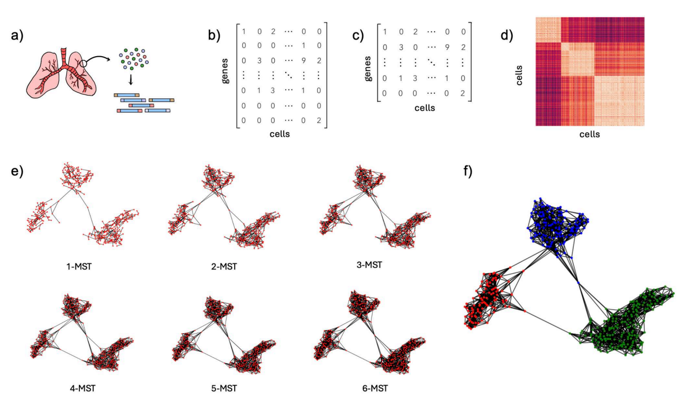 New algorithms for unsupervised cell clustering from scRNA-seq data thumbnail